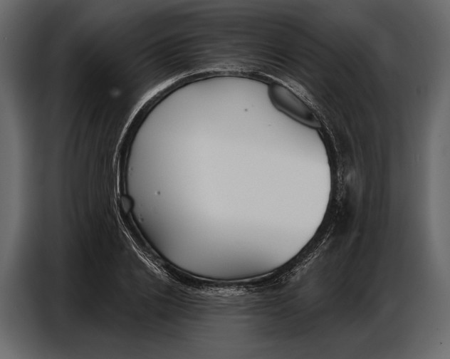 X0000086880838200705071200