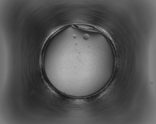 X0000086880839200705071200