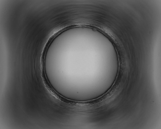 X0000086880840200705071200