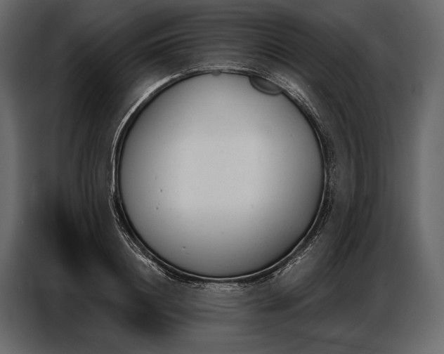 X0000086880844200705071200