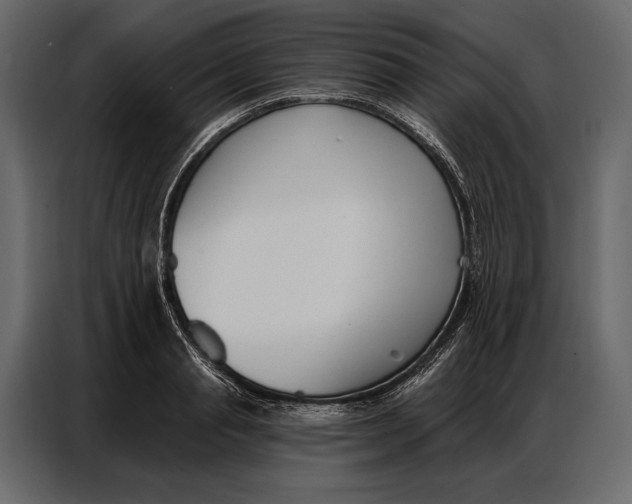 X0000086880845200705071200