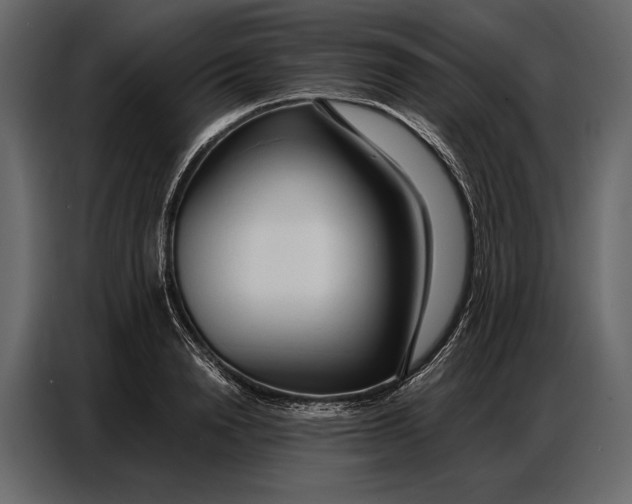 X0000086880846200705071200