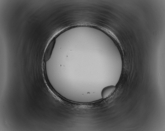 X0000086880847200705071200