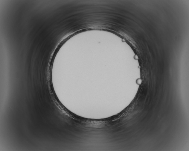 X0000086880848200705071200