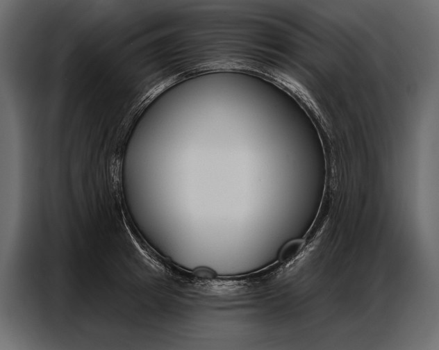 X0000086880849200705071200