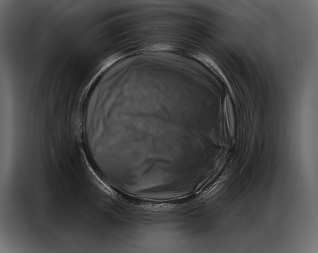 X0000086880851200705071200