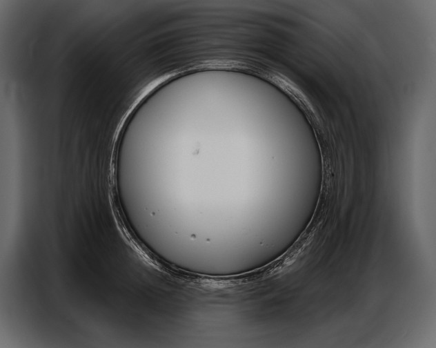 X0000086880852200705071200