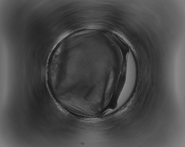 X0000086880853200705071200