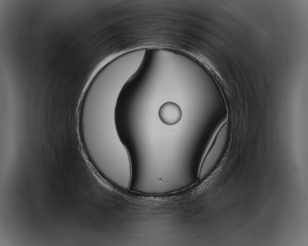 X0000086880854200705071200