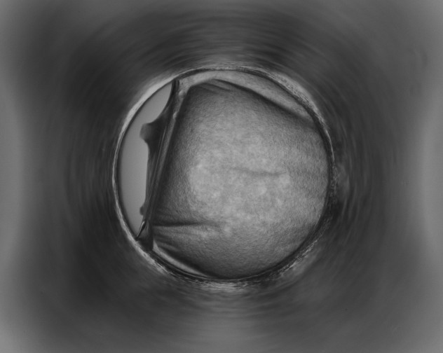 X0000086880855200705071200