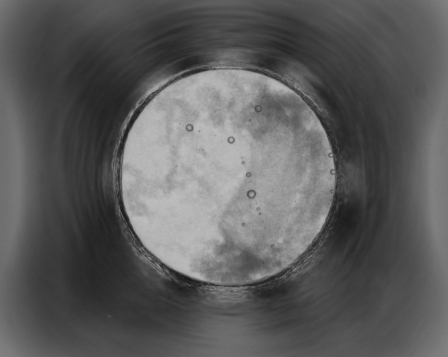 X0000086880856200705071200