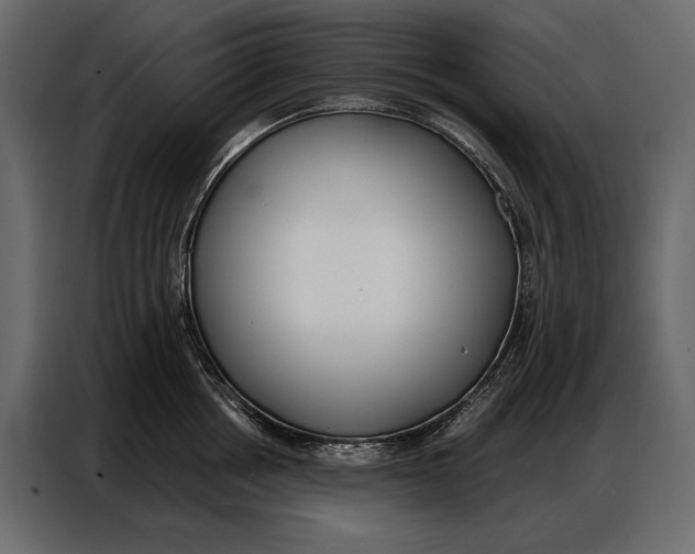 X0000086880858200705071200