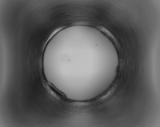 X0000086880860200705071200