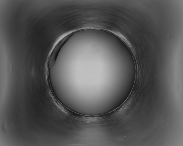 X0000086880862200705071200