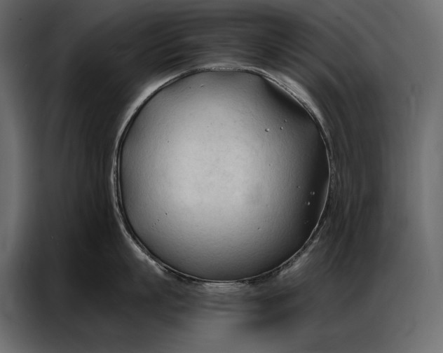 X0000086880863200705071200