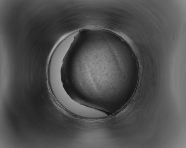 X0000086880864200705071200