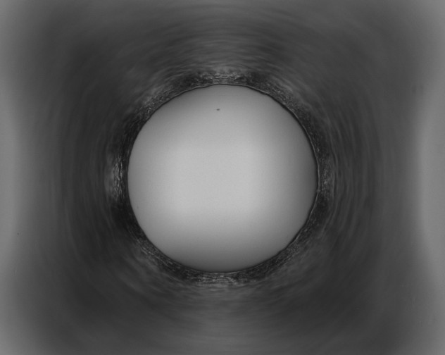 X0000086880866200705071200