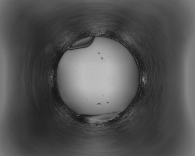 X0000086880867200705071159