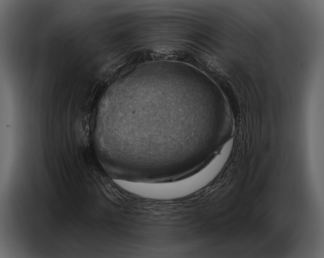 X0000086880868200705071159