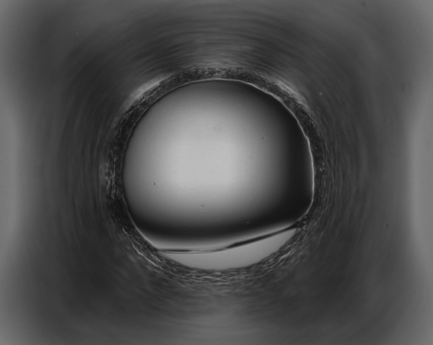 X0000086880872200705071159