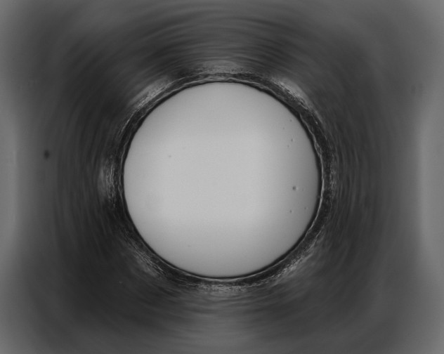 X0000086880873200705071159