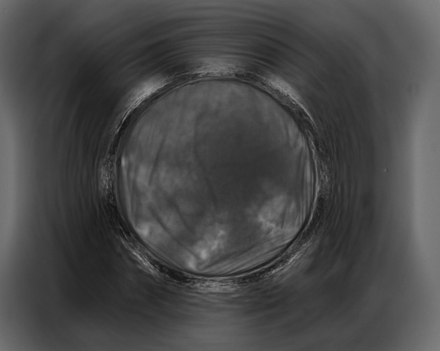 X0000086880874200705071159