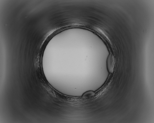 X0000086880875200705071159