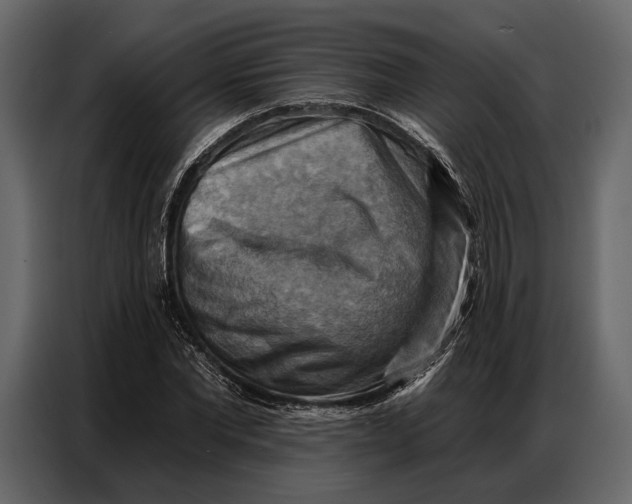 X0000086880877200705071159