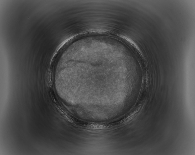 X0000086880878200705071159