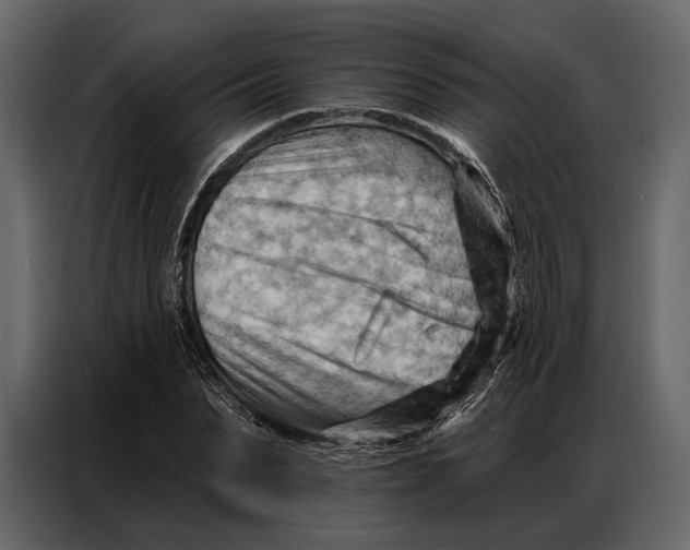 X0000086880879200705071159