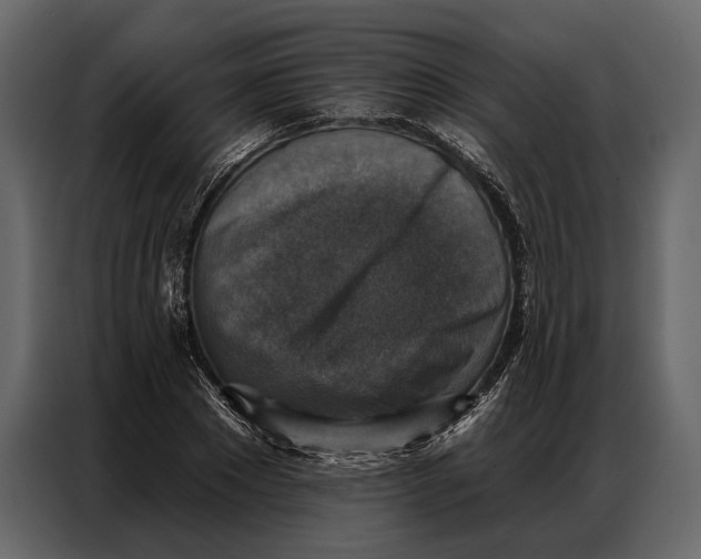 X0000086880881200705071159