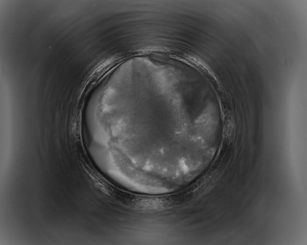 X0000086880882200705071159