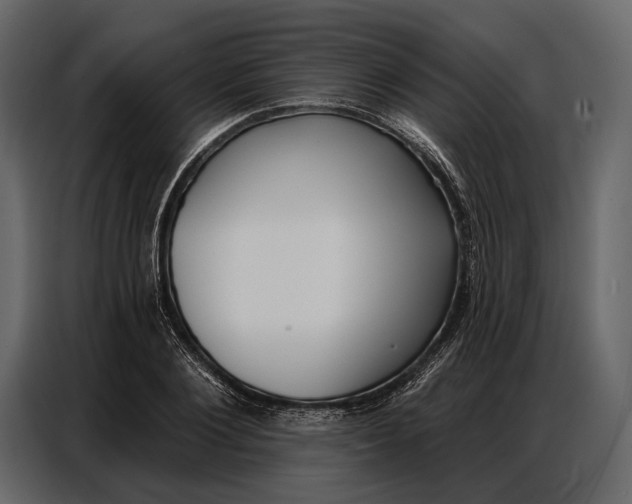 X0000086880884200705071159