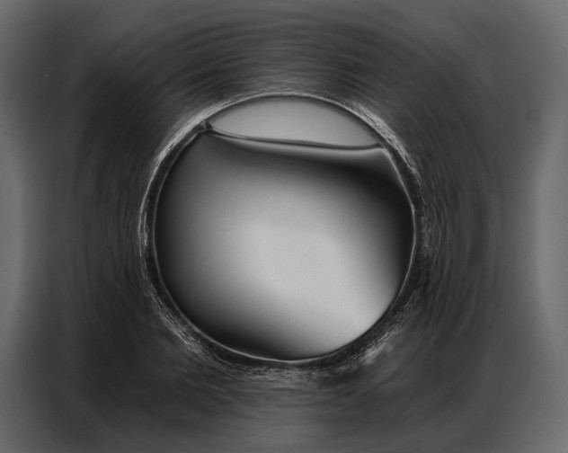 X0000086880885200705071159