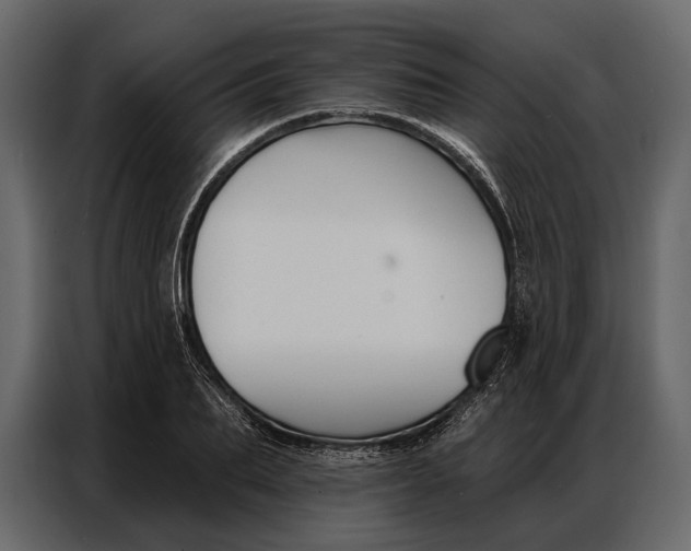 X0000086880887200705071159