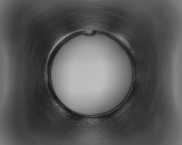 X0000086880888200705071159