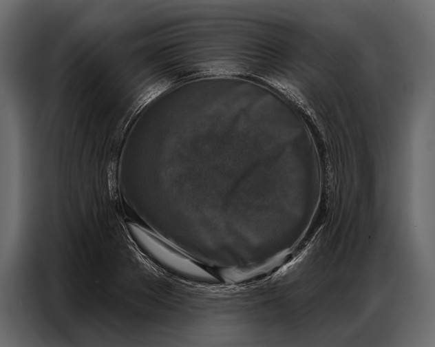 X0000086880889200705071159