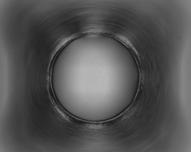 X0000086880890200705071159