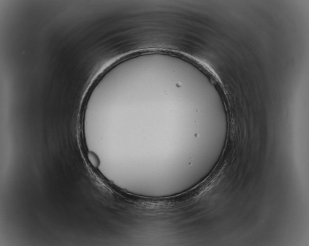 X0000086880895200705071159