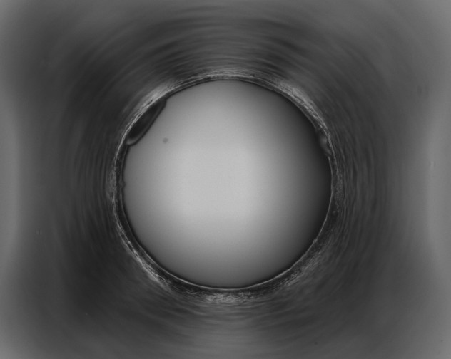 X0000086880898200705071159