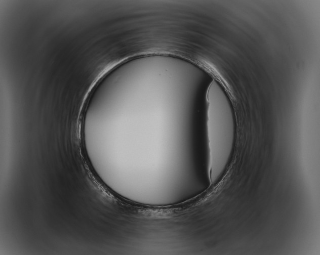 X0000086880900200705071159