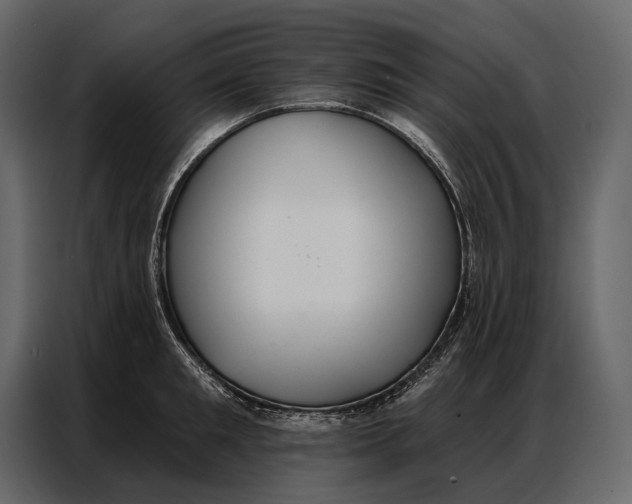 X0000086880901200705071159