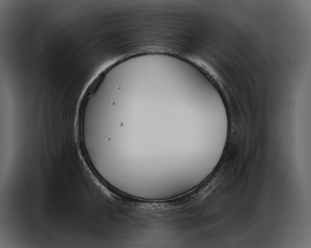 X0000086880902200705071159