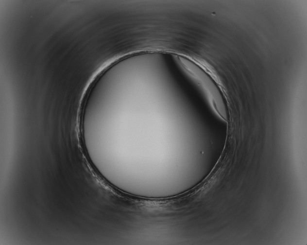 X0000086880904200705071159