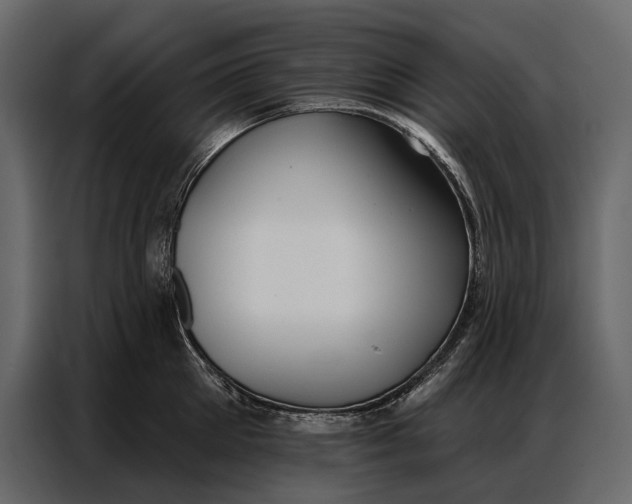 X0000086880905200705071159