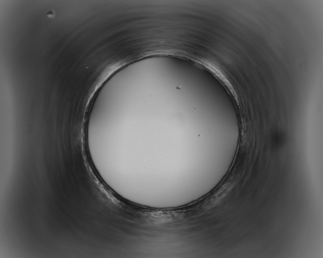 X0000086880906200705071159