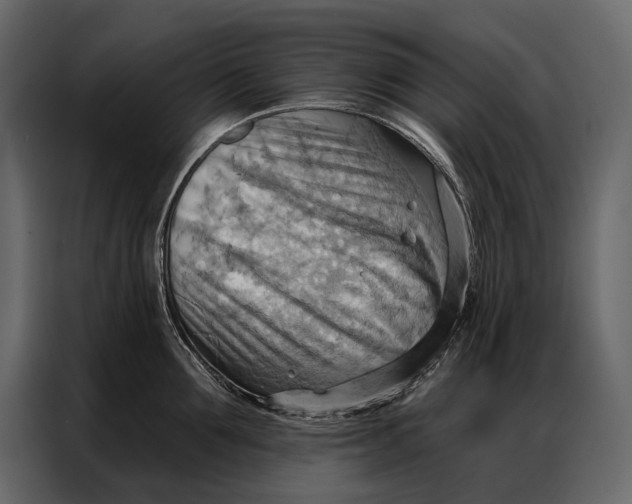 X0000086880907200705071159