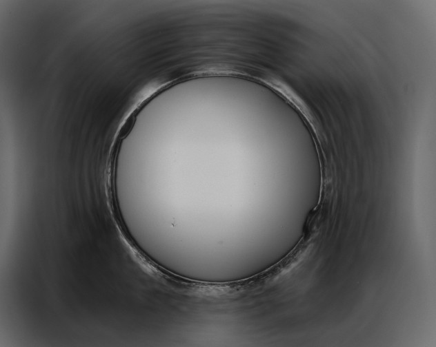 X0000086880909200705071159