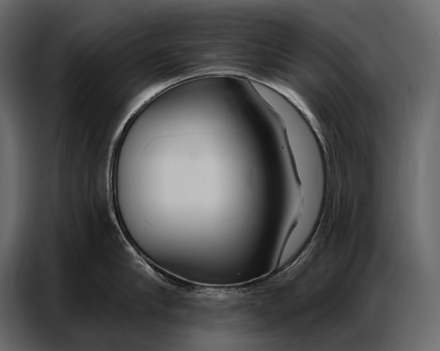 X0000086880910200705071159