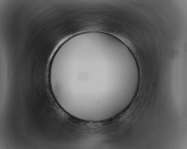 X0000086880912200705071159